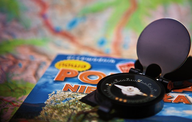 Czym się różni kompas od busoli? Czym się różni kompas od busoli?