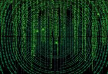 Co ile wymiana oleju w wózku widłowym?