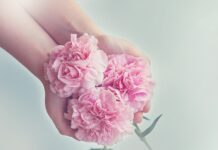 Jaki kombajn do małego gospodarstwa?