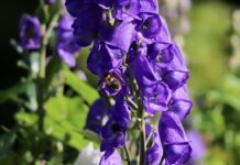 Jaka kominiarka na narty dla dzieci? Jaka kominiarka na narty dla dzieci?