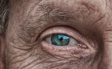 Po co obiektyw w aparacie?